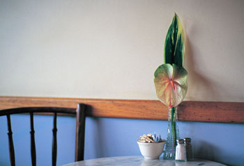 cafe_photo02